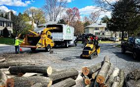 Best Lot and Land Clearing  in Indian Lake, TX