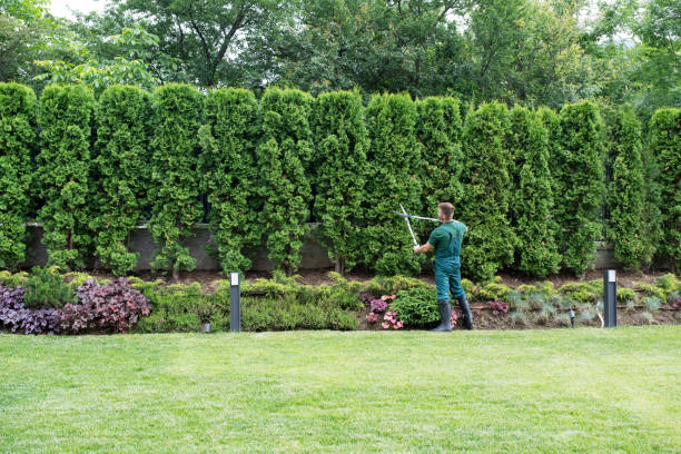 Best Pest Control for Lawns  in Indian Lake, TX